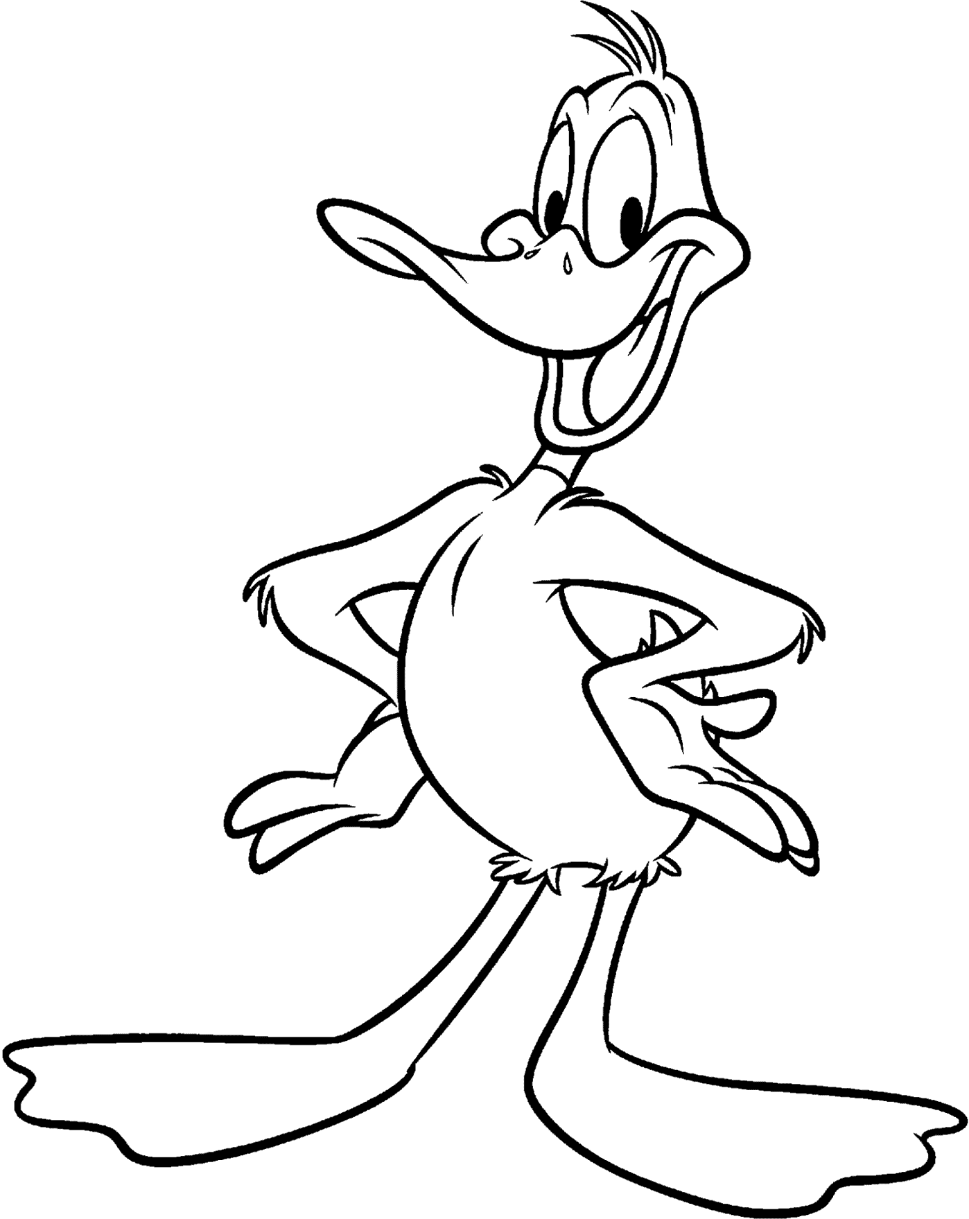 Daffy duck coloring pages to download and print for free