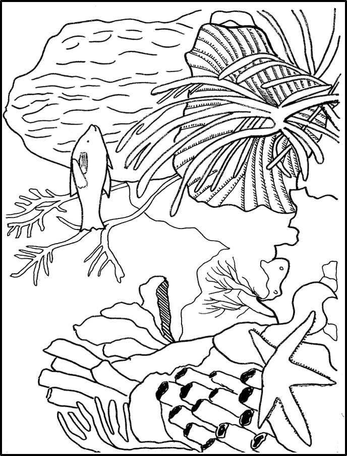 Coral reef coloring pages to download and print for free