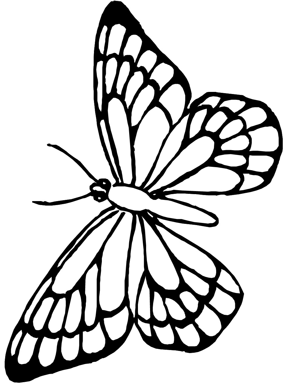 monarch-butterfly-coloring-pages-download-and-print-for-free