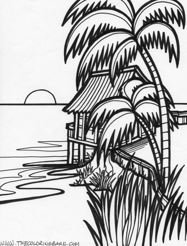 palm tree sunset coloring pages - photo #27