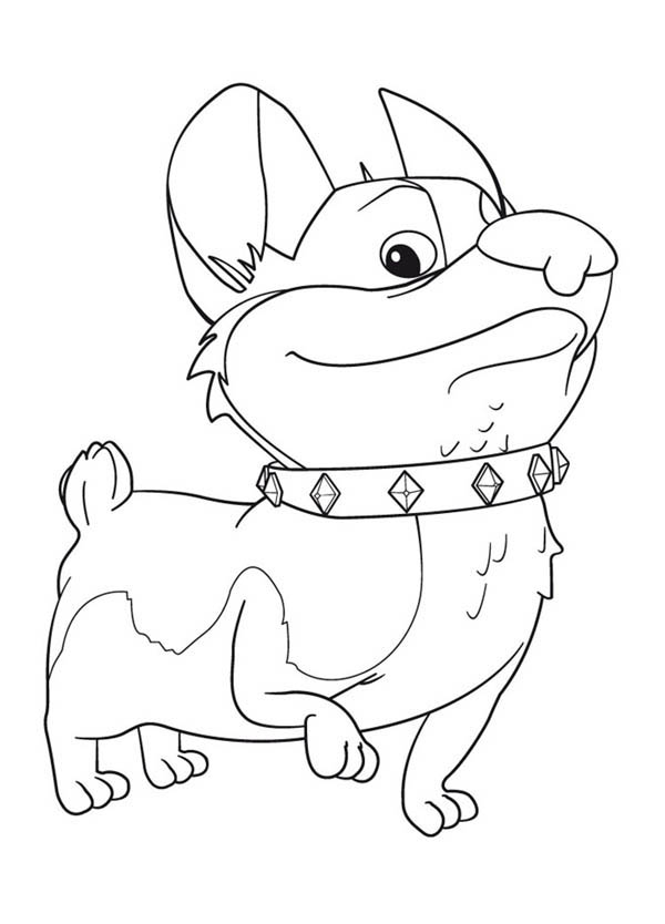 Corgi coloring pages download and print for free