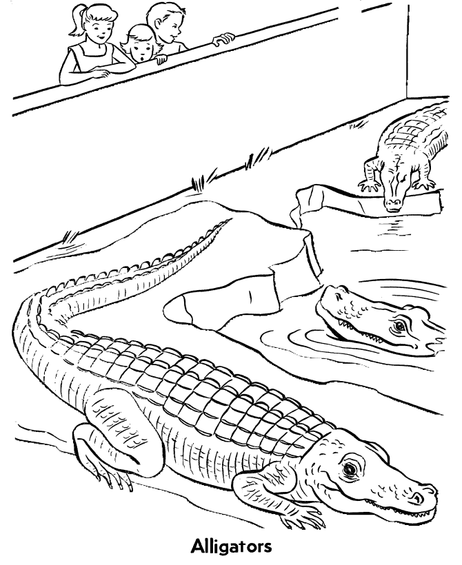 reptile-coloring-pages-to-download-and-print-for-free