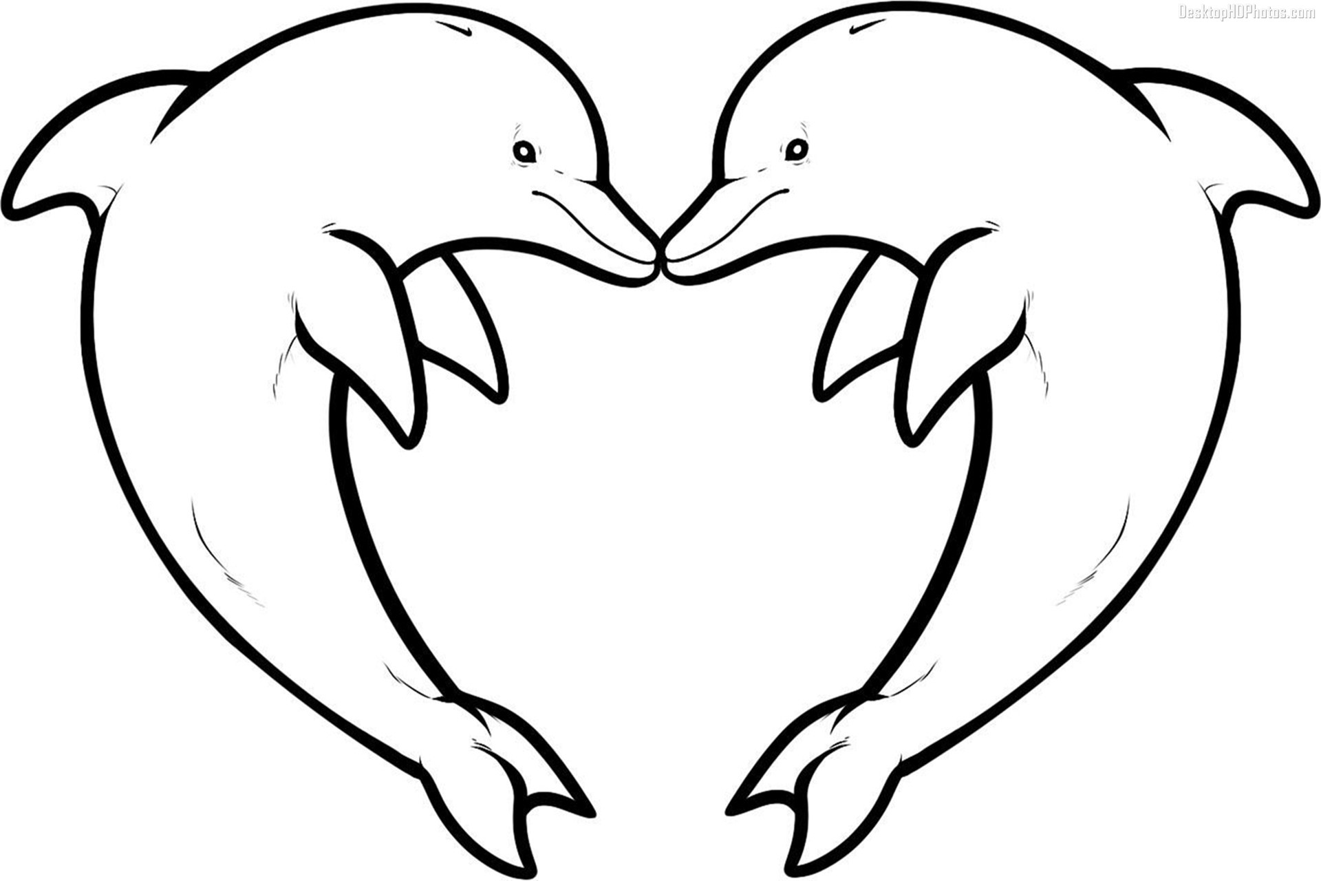 Dolphin Coloring Page 1