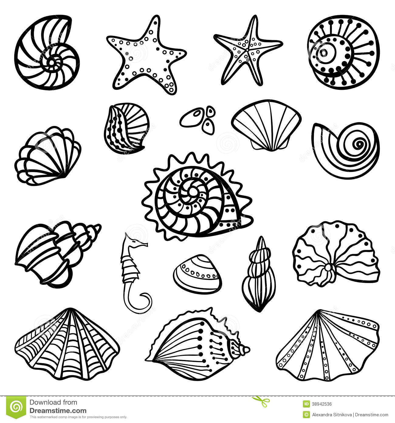 Beach shells coloring pages download and print for free