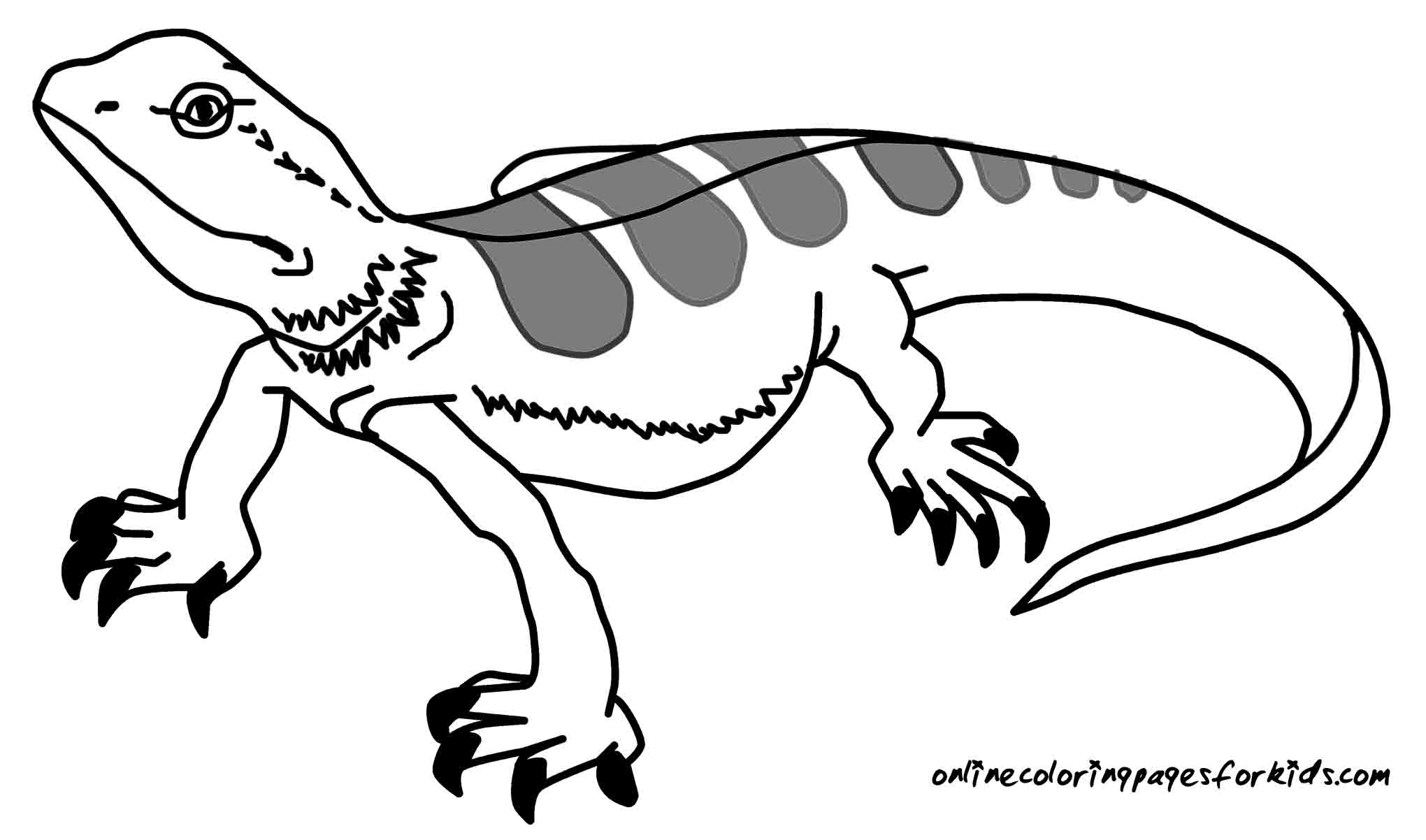 Reptile coloring pages to download and print for free
