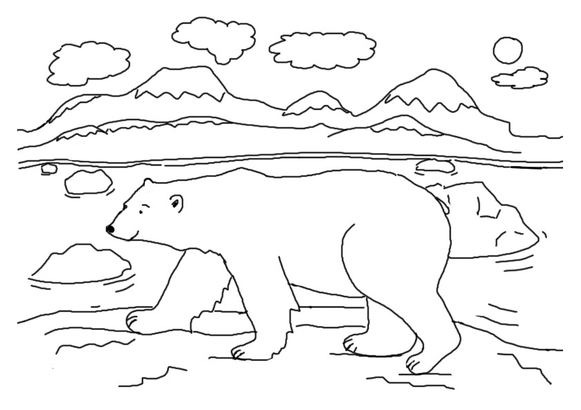 Polar bear coloring pages to download and print for free