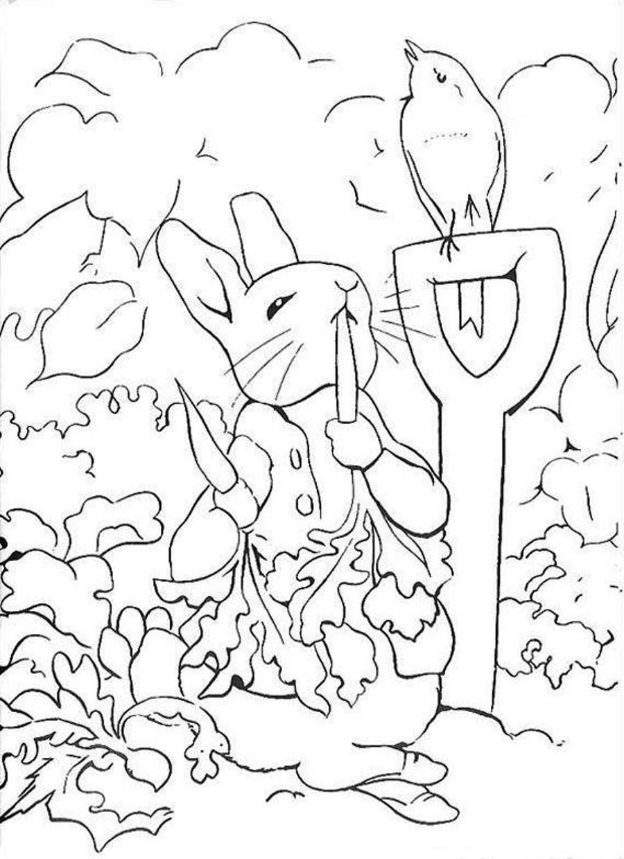 Peter rabbit coloring pages to download and print for free