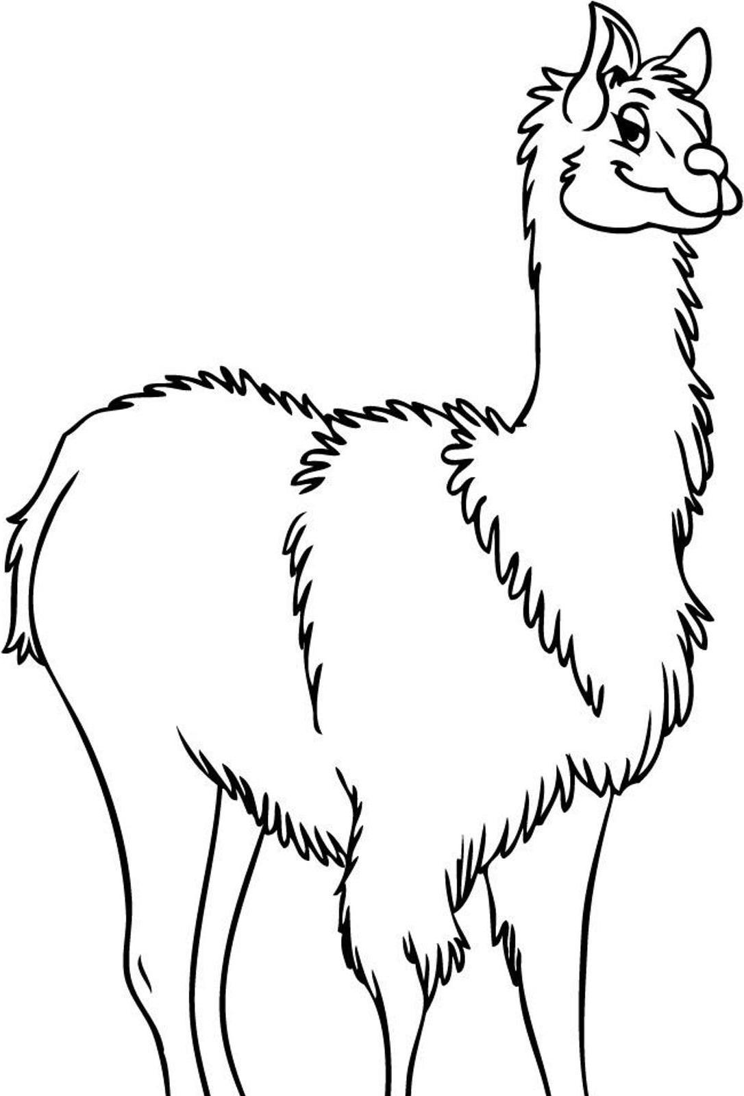 llama coloring outline drawing clip alpaca clipart animal clipartbest getdrawings mama library cliparts