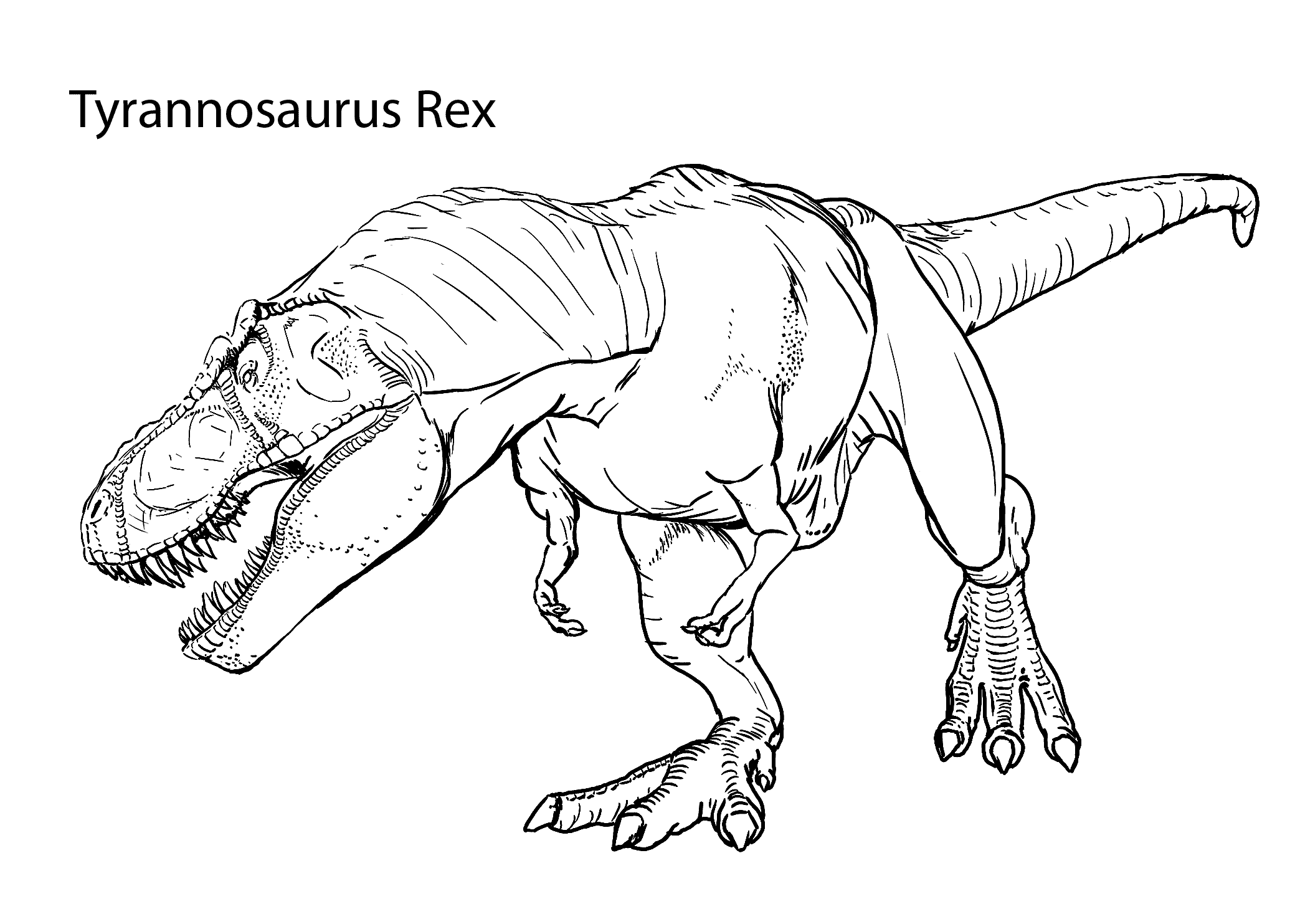 T rex coloring pages to download and print for free