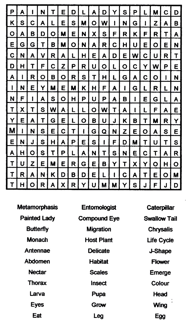 Free Word Search Sheets