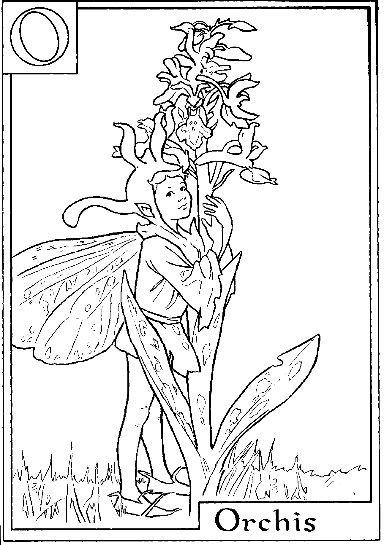 fairy and flower alphabet coloring pages - photo #32