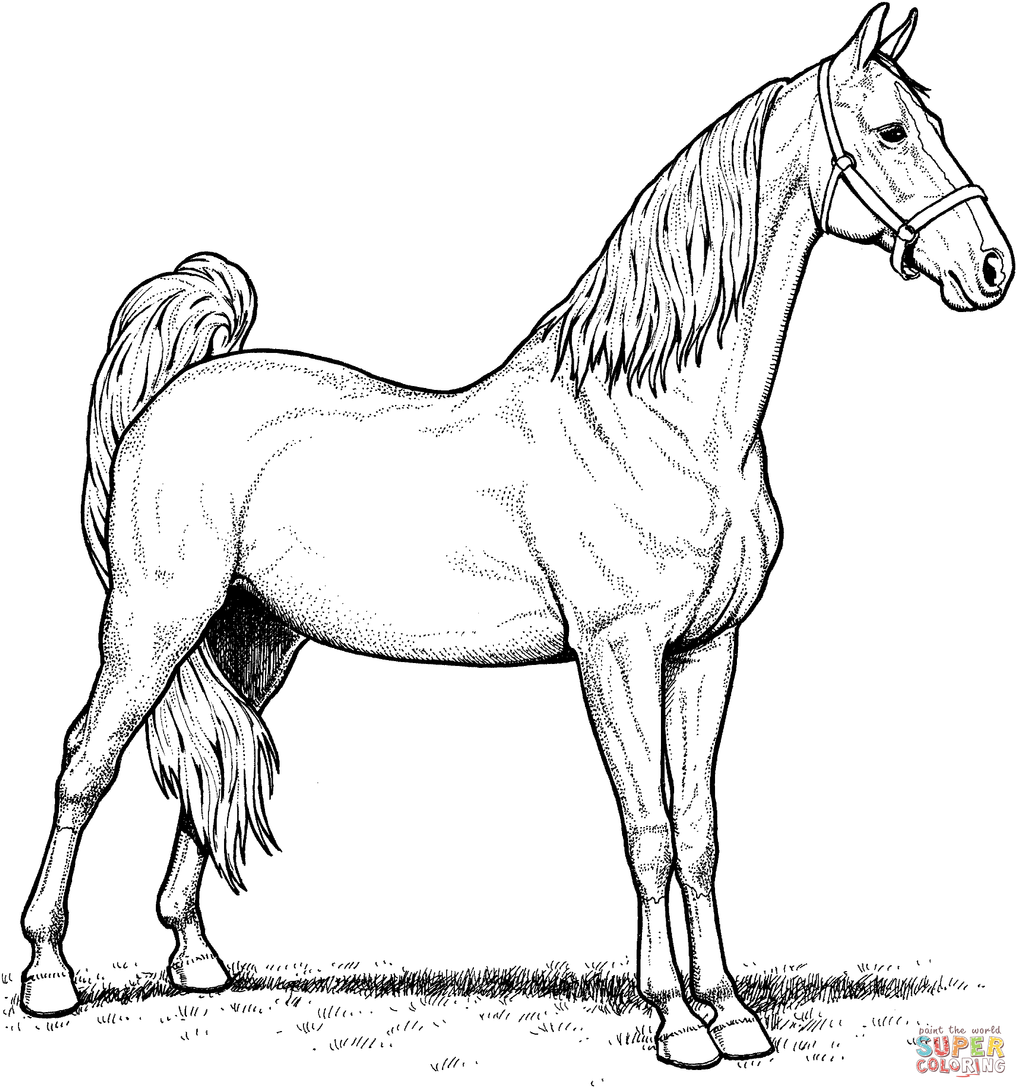 Realistic horse coloring pages to download and print for free