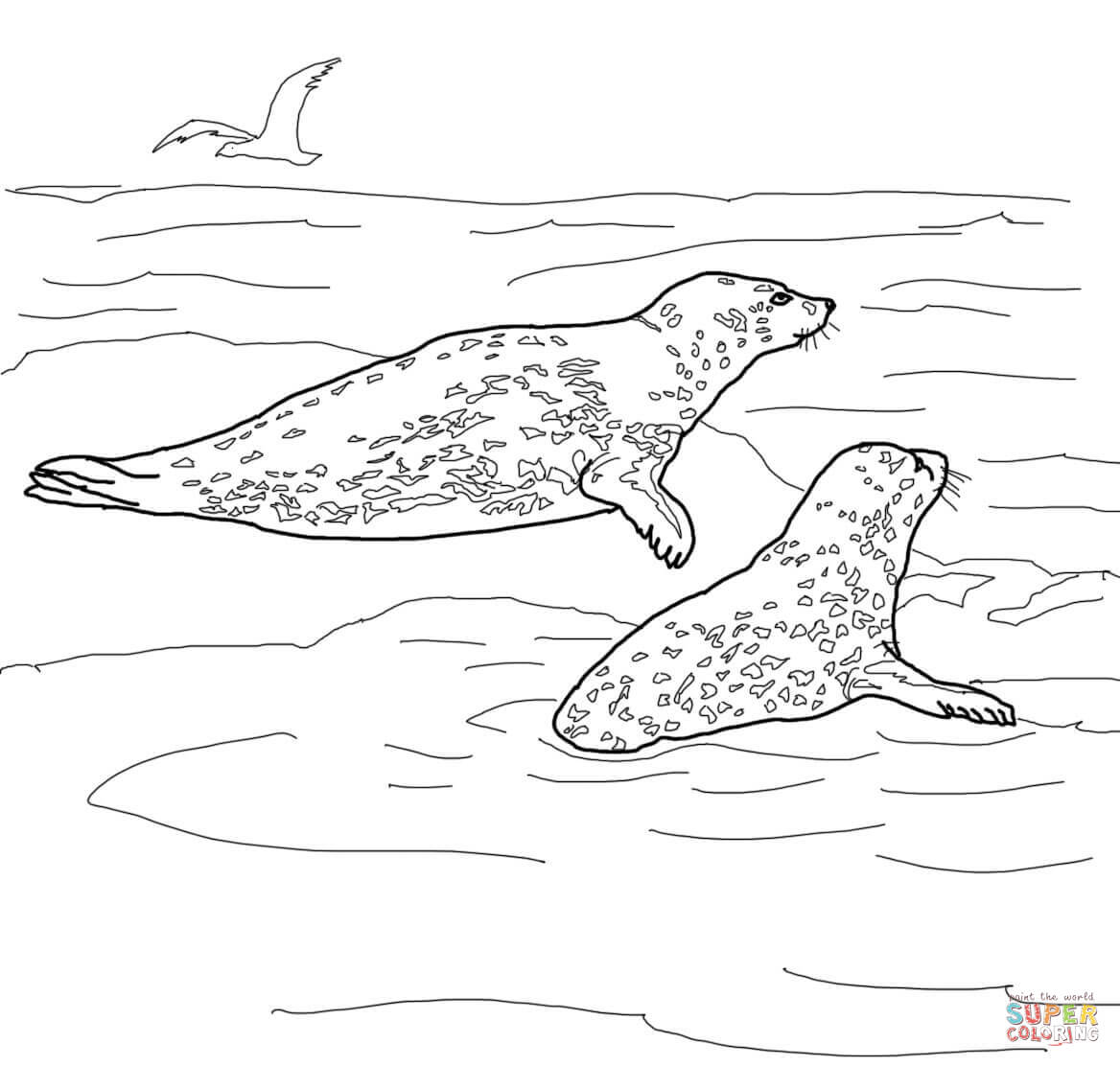 leopard seal coloring pages download and print for free