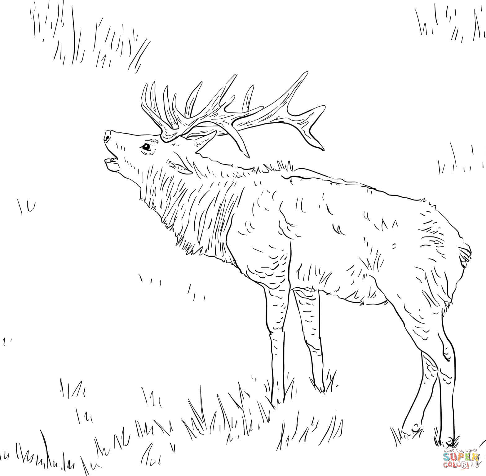 Bull elk coloring pages download and print for free