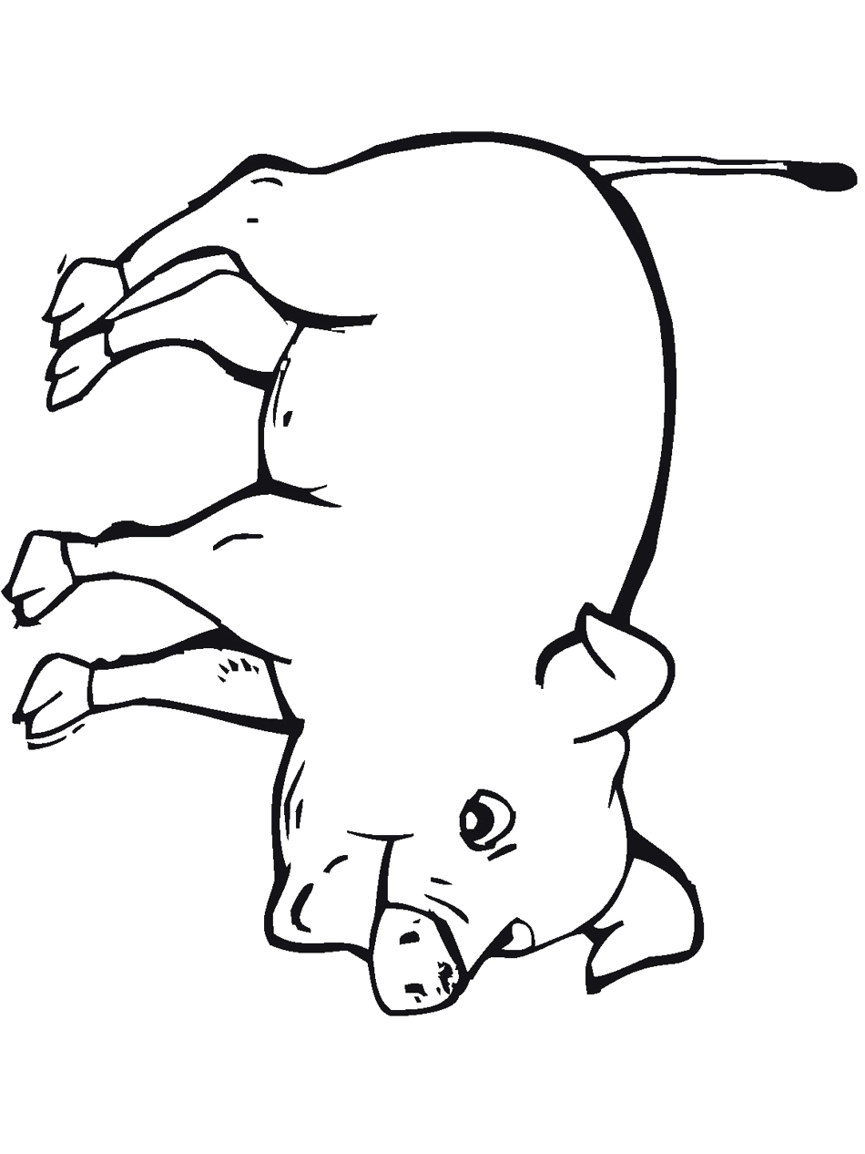 color-the-farm-animals-enjoy-free-farm-animals-coloring-pages-to