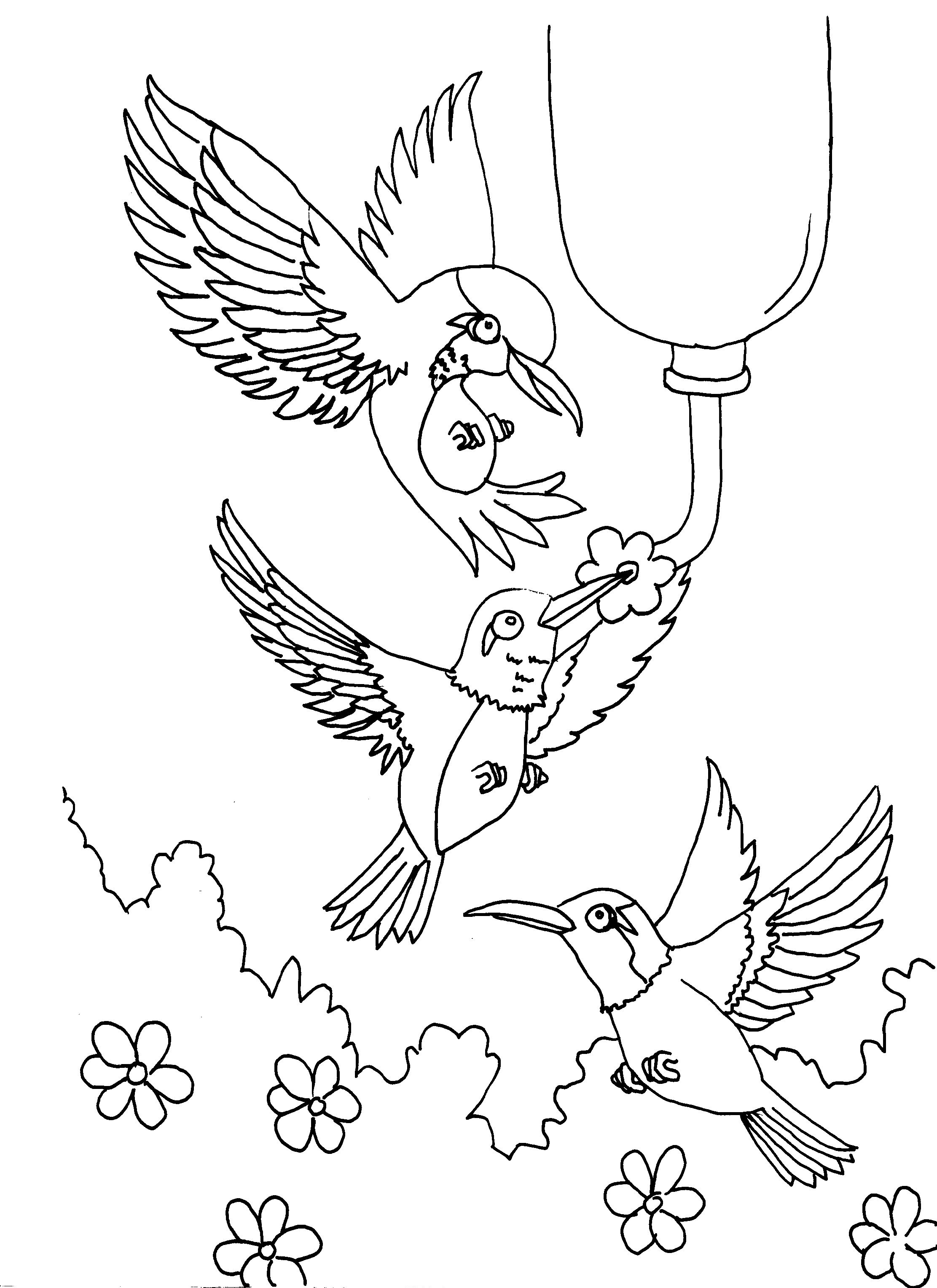 Hummingbird coloring pages to download and print for free