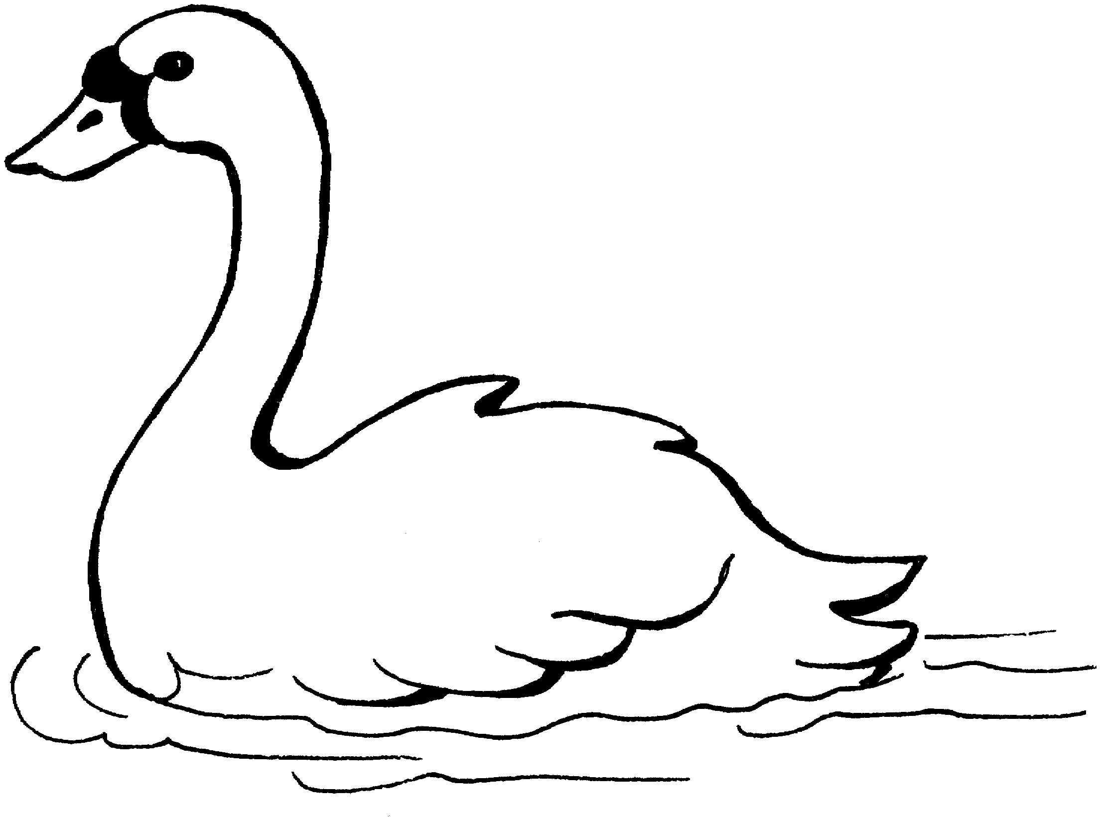 Swan coloring pages to download and print for free