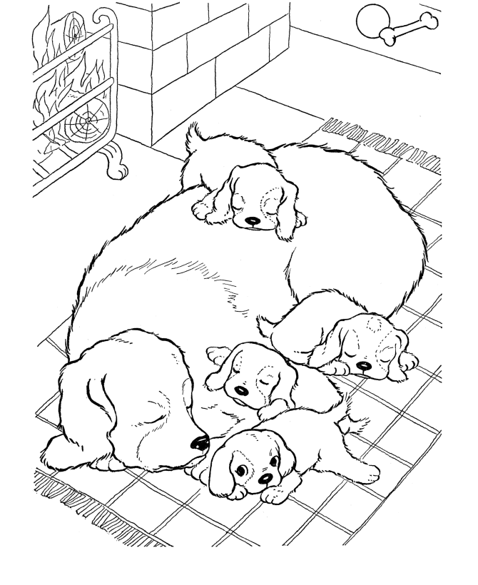 Realistic puppy coloring pages download and print for free