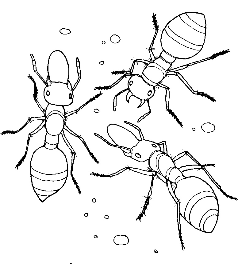 Ant coloring pages to download and print for free