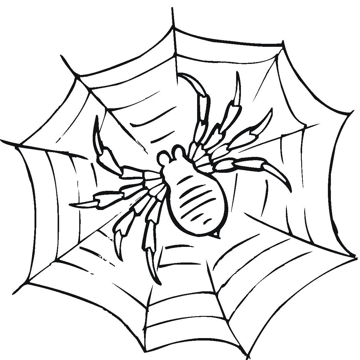 Spider coloring pages to download and print for free