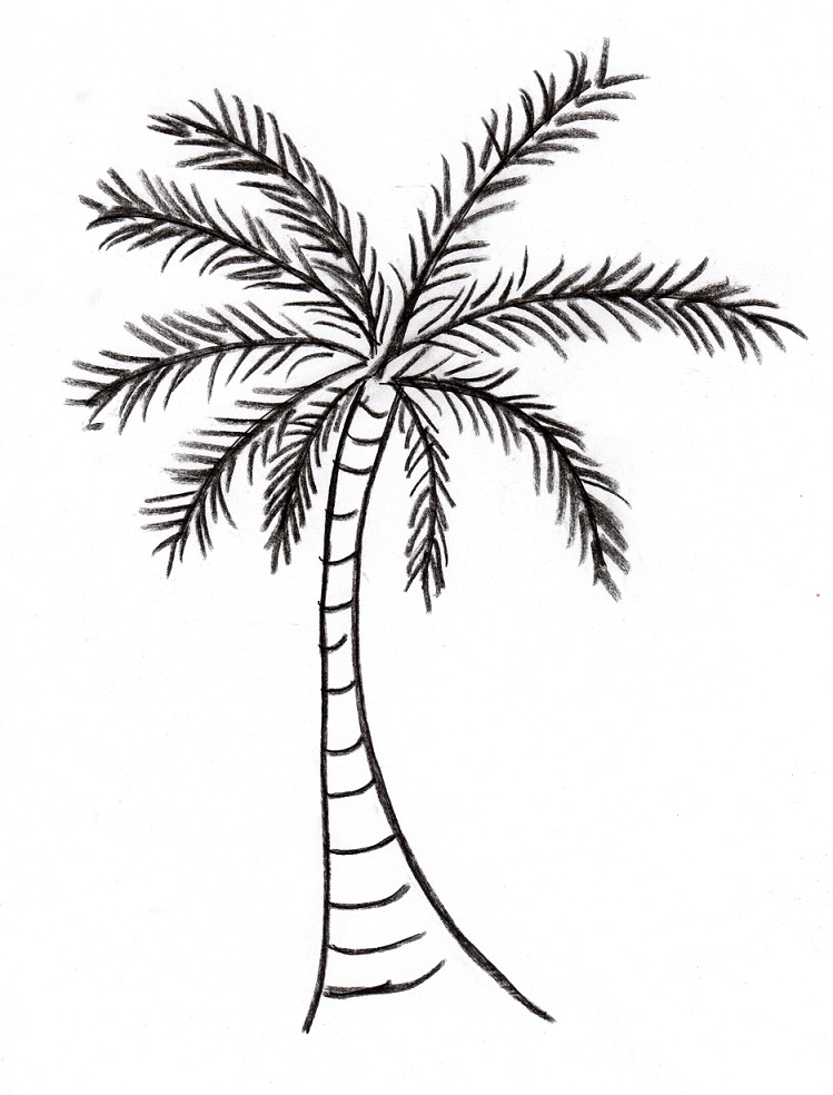 Date palm coloring pages download and print for free