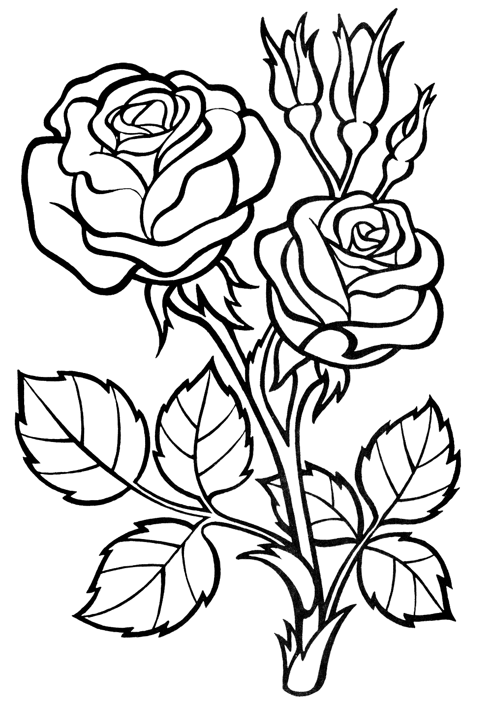 Roses coloring pages to download and print for free
