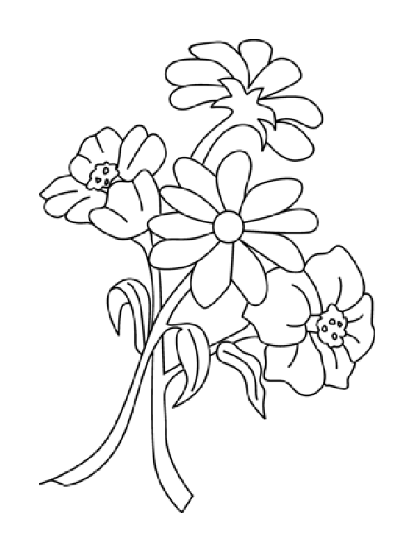 large-flowers-coloring-pages-to-download-and-print-for-free