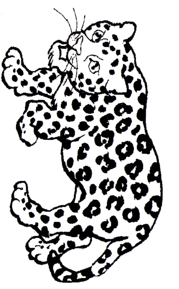 jaguar coloring pages printable - photo #26
