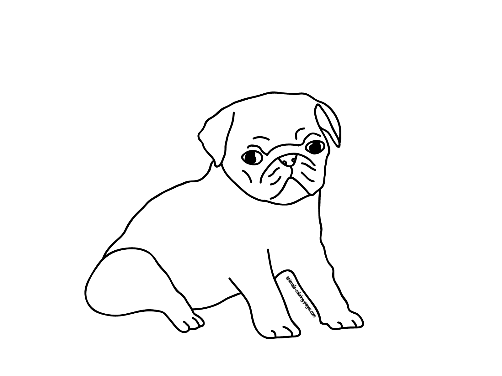 Pug coloring pages to download and print for free