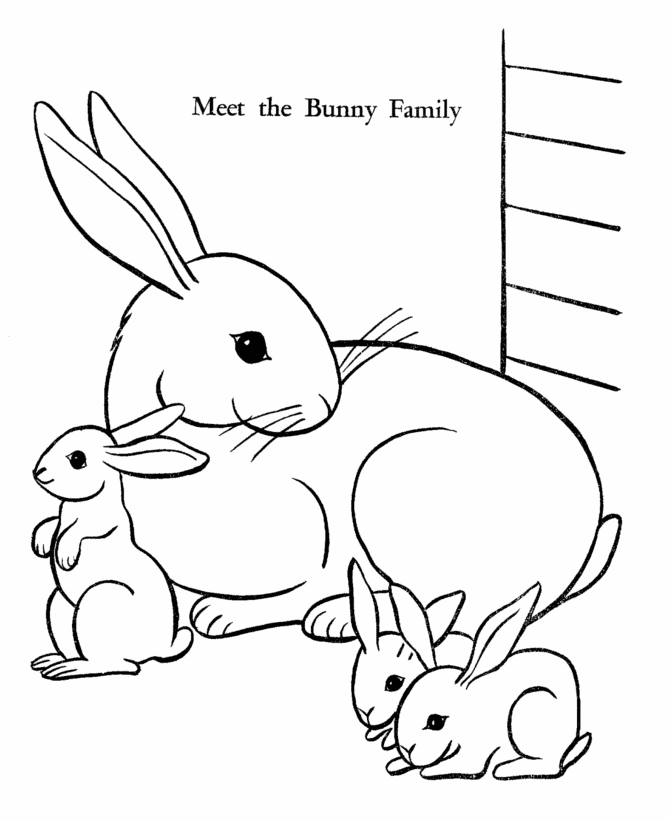 Bunny rabbit coloring pages to download and print for free