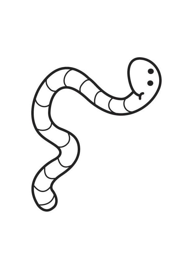 Worm coloring pages to download and print for free