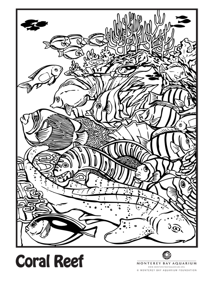 Coral reef coloring pages to download and print for free