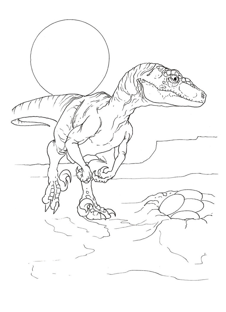 Raptor coloring pages download and print for free