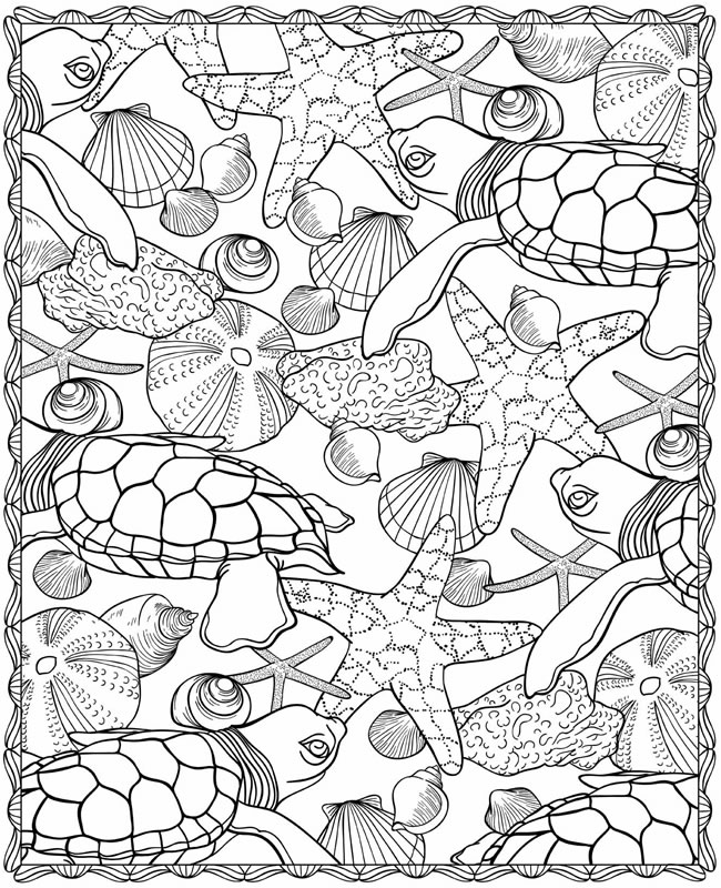 Ocean life coloring pages to download and print for free