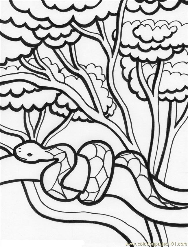 Jungle coloring pages to download and print for free