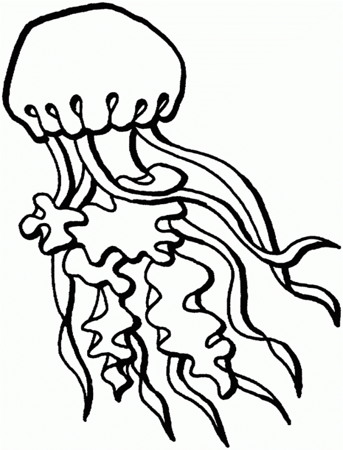 Jellyfish coloring pages to download and print for free