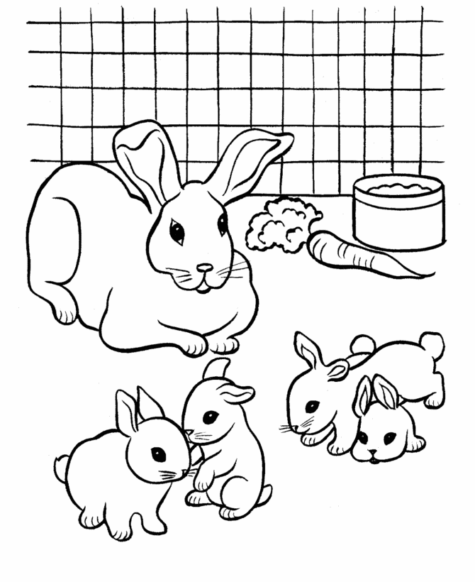 Free Printable Coloring Pages Cute Baby Bunnies