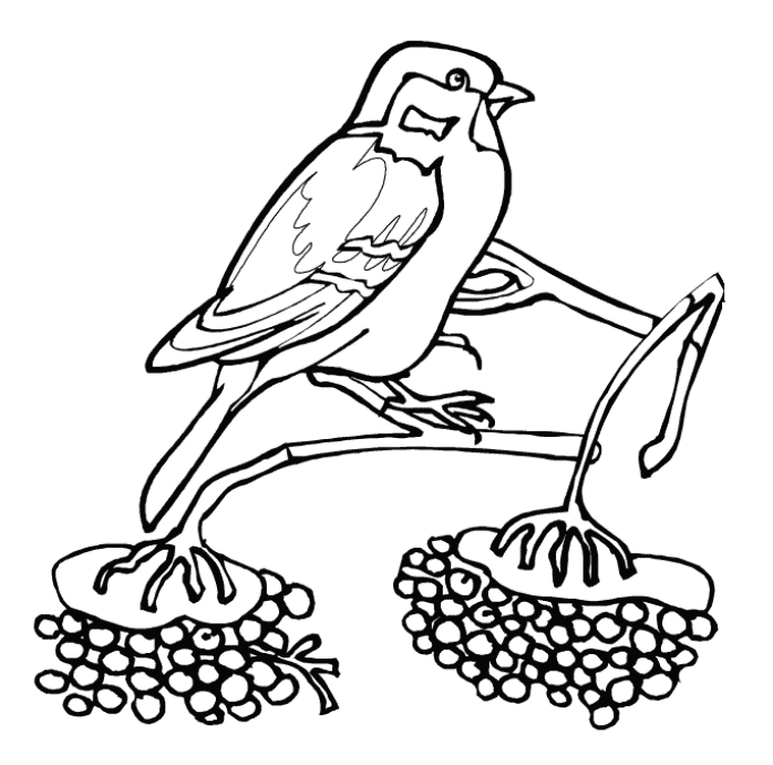 Winter bird coloring pages download and print for free