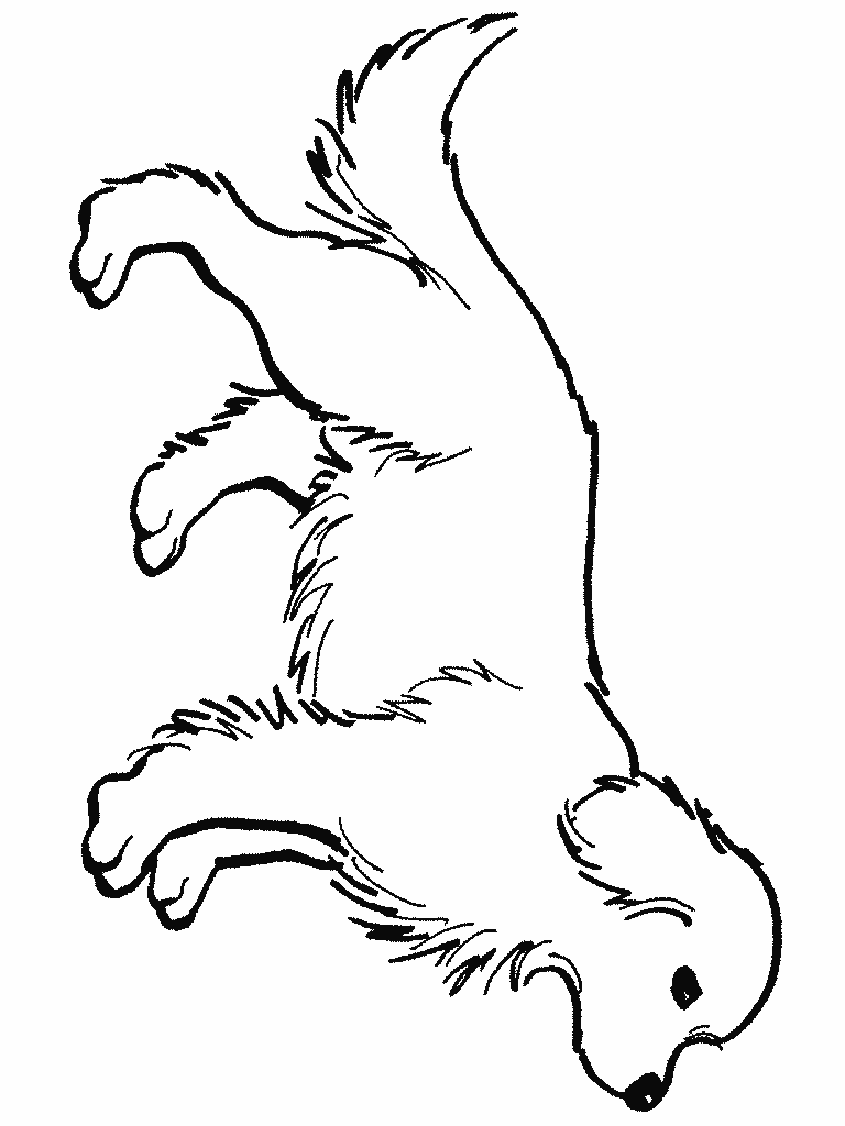 baby golden retriever coloring pages - photo #8