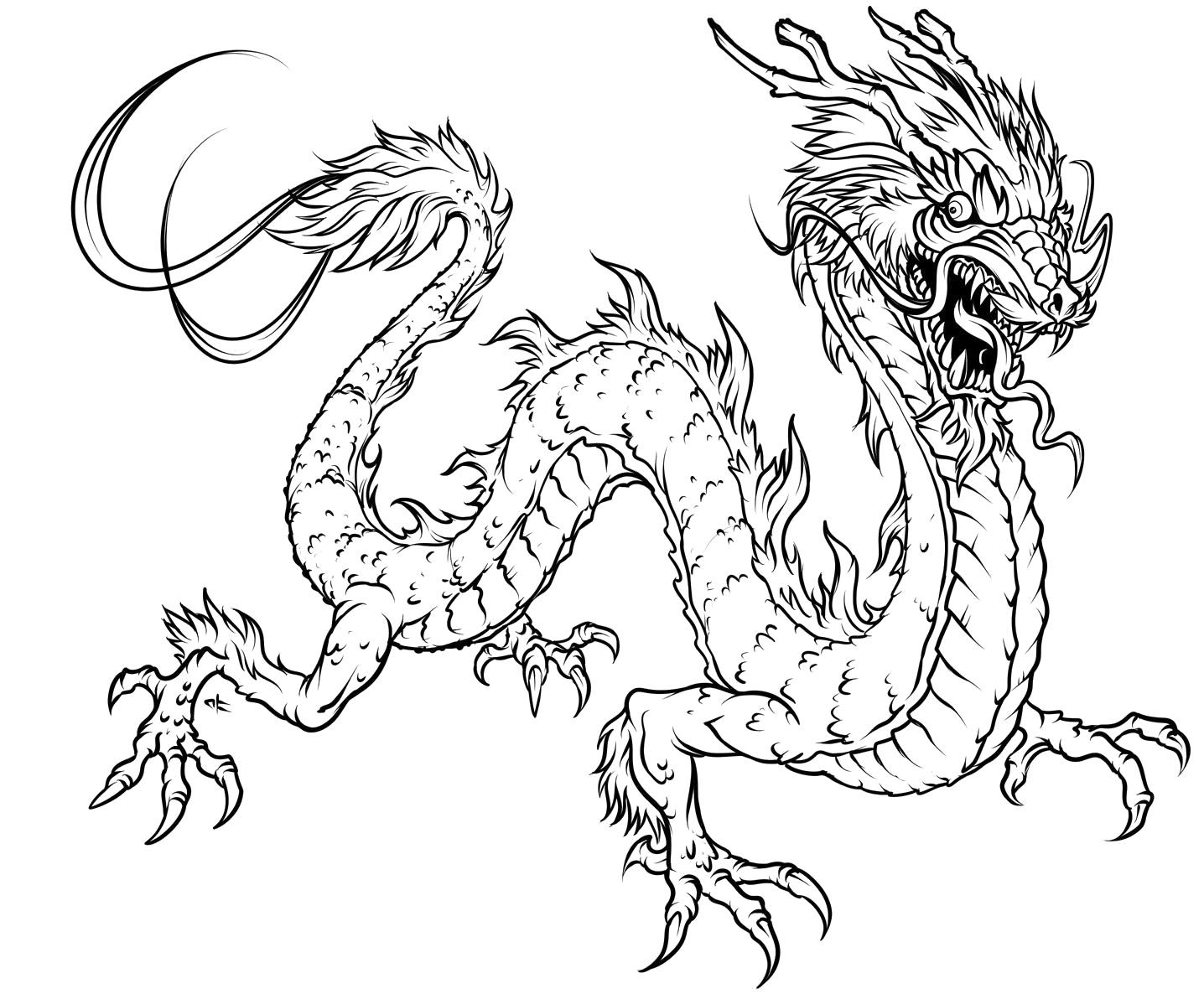 Dragon coloring pages for adults to download and print for