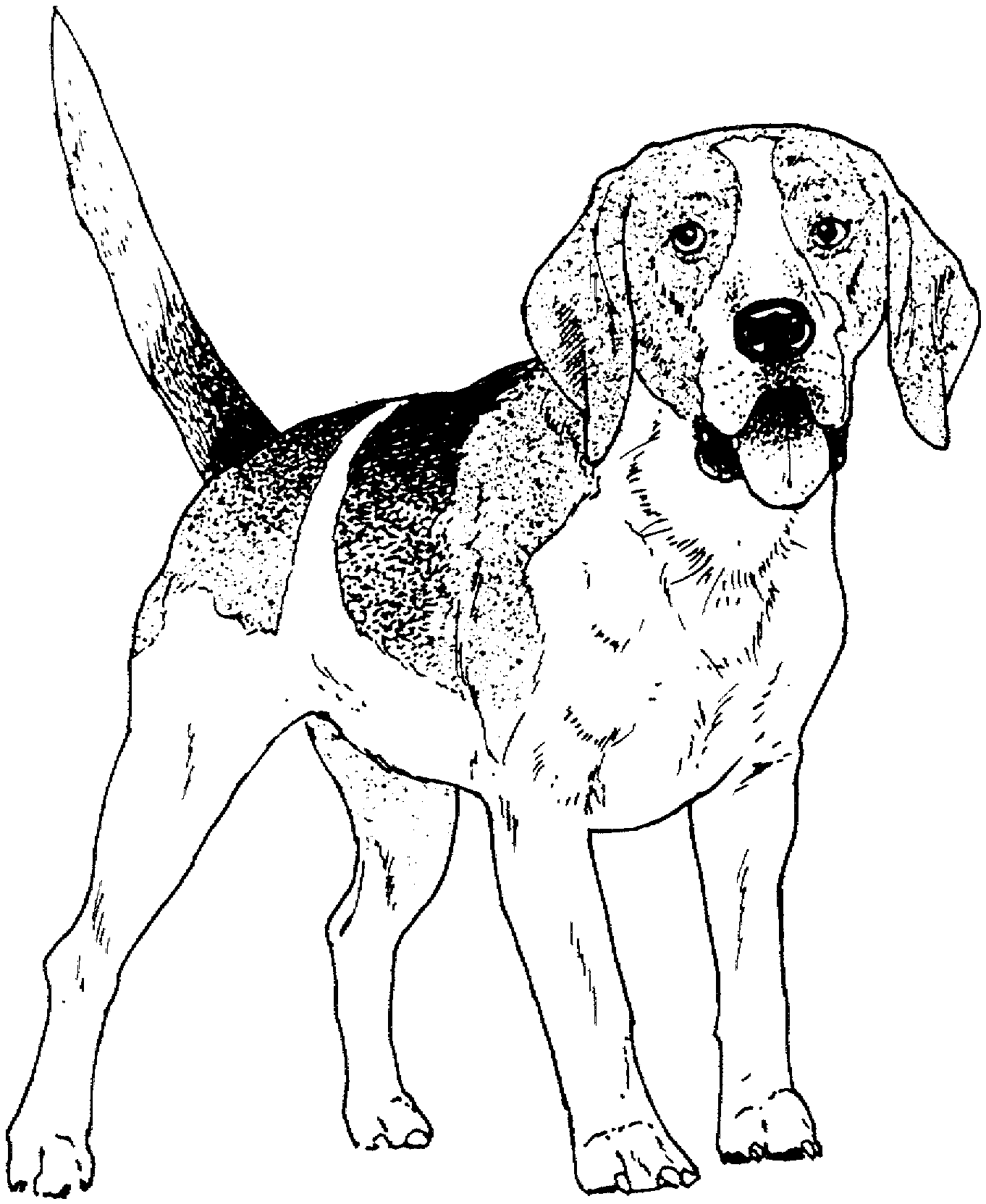 Free Printable Colouring Pages Of Dogs