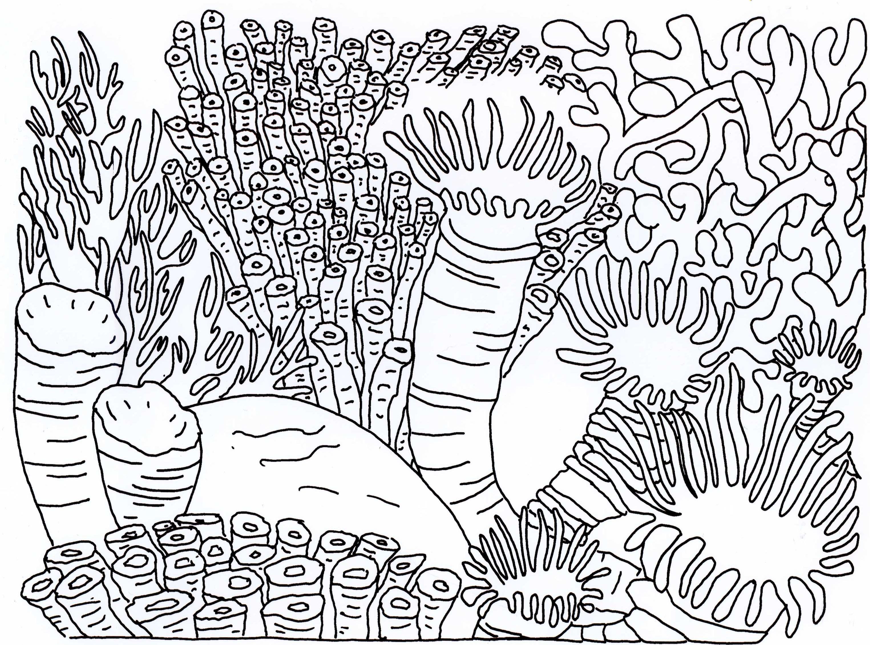 coral-reef-coloring-pages-to-download-and-print-for-free