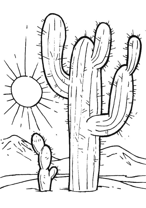 728 Animal Sunset Coloring Pages with Animal character