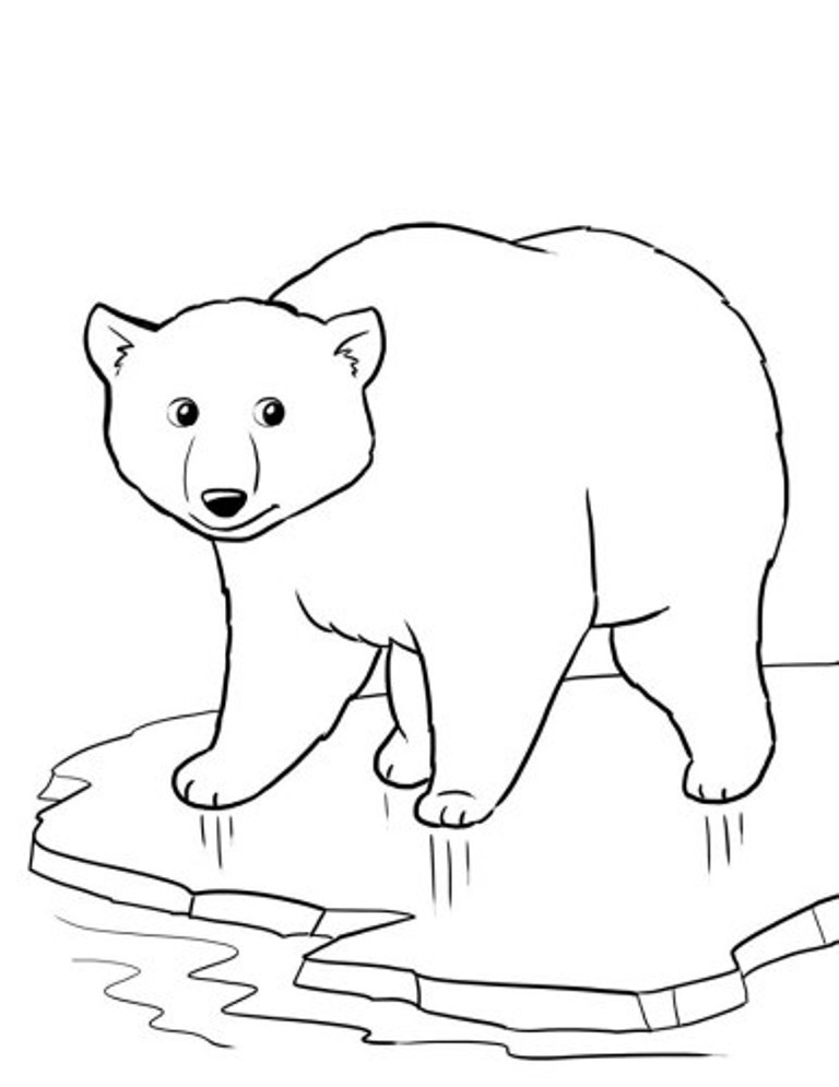 Polar bear coloring pages to download and print for free