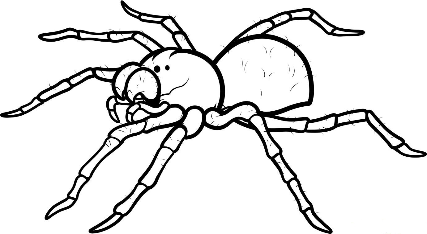 spider-coloring-pages-to-download-and-print-for-free