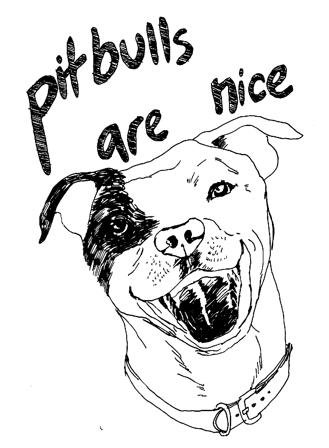 Pitbull coloring pages to download and print for free