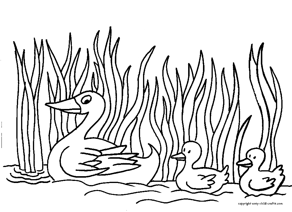 ducks coloring five