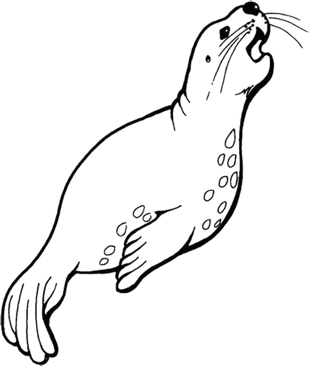 Leopard seal coloring pages download and print for free