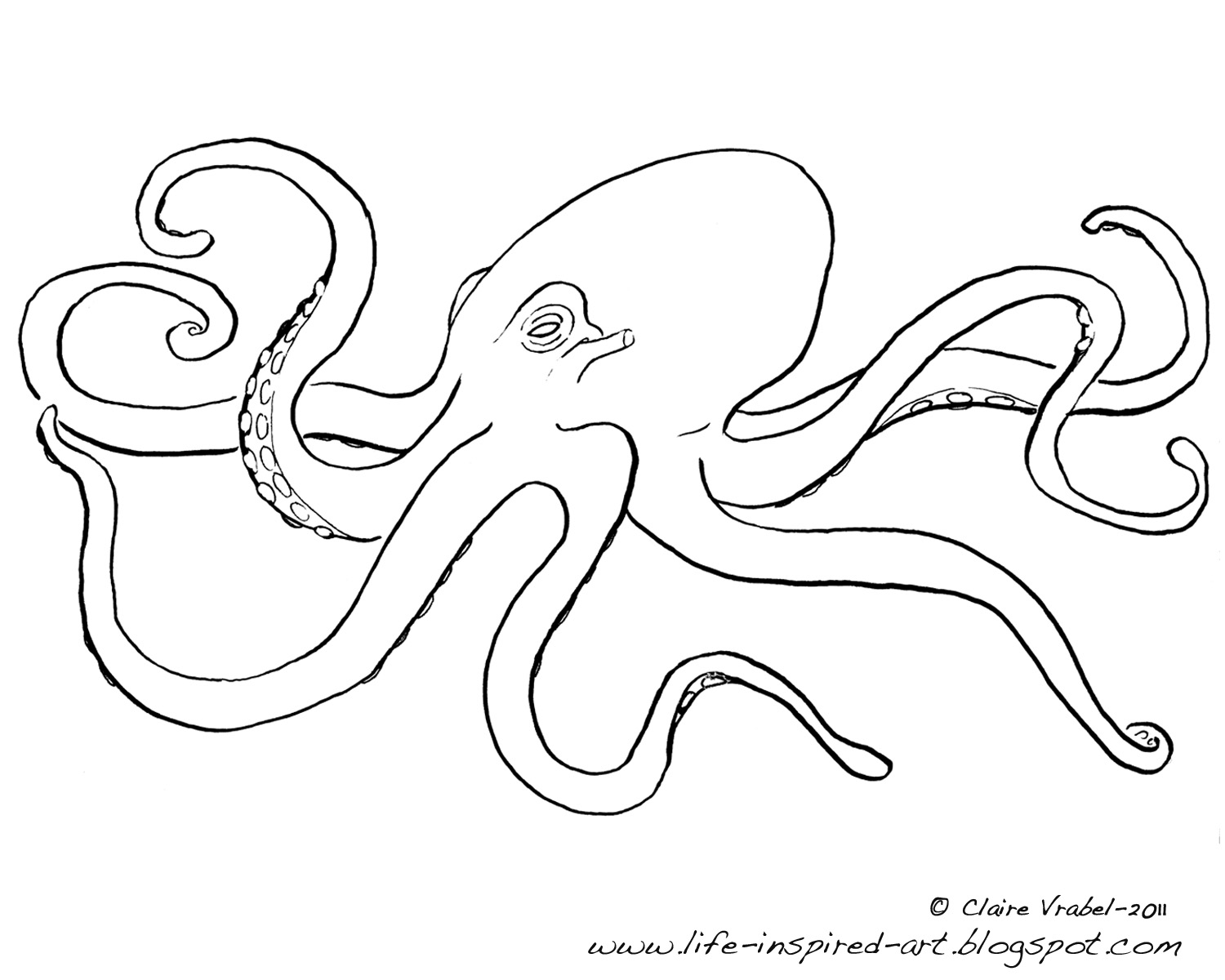 octopus coloring pages kids printable - photo #24