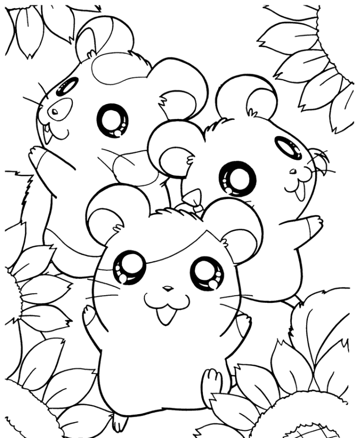 hamster-coloring-pages-realistic-hamster-coloring-pages-color-hamsters